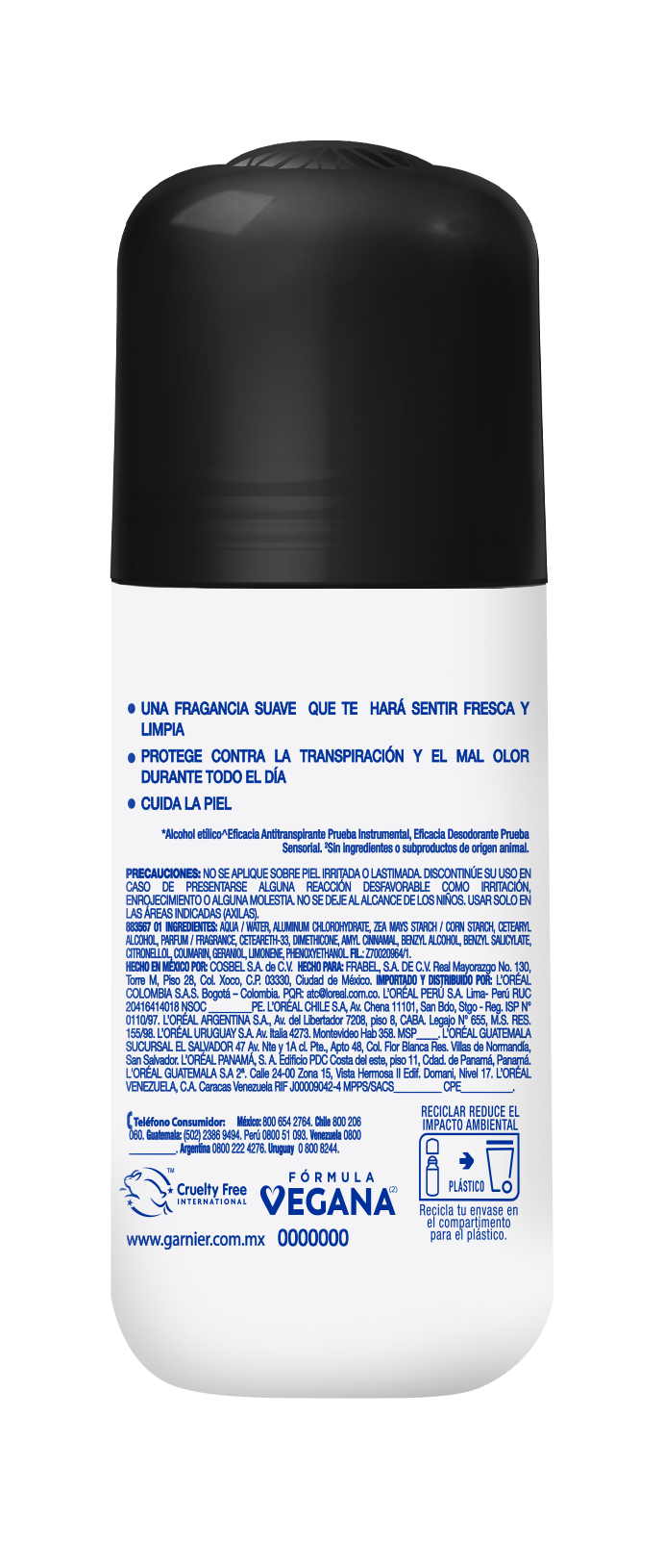 ROLL ON TATTOO 30 WOMEN BACK